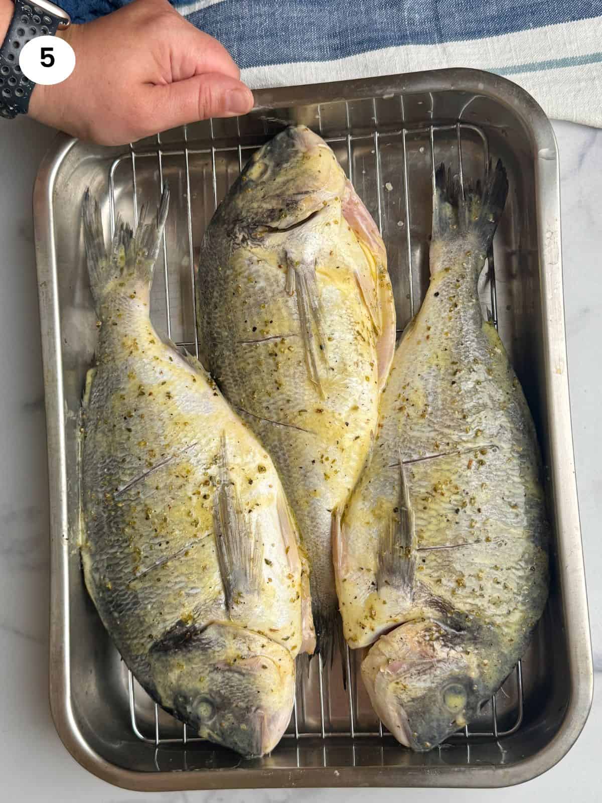 Sea breams ready to go in the oven.