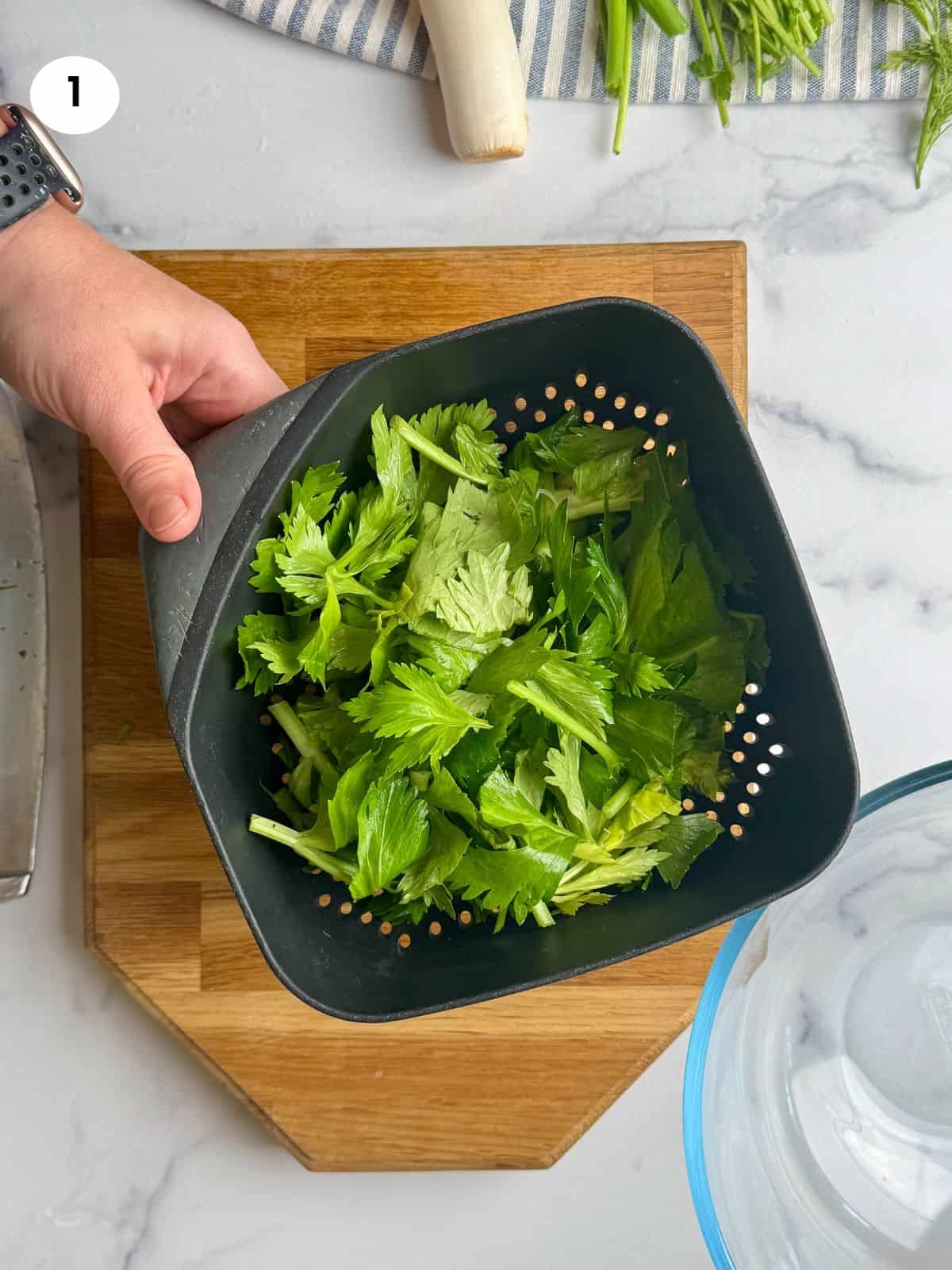 Cutting the celery leaves into smaller chunks.