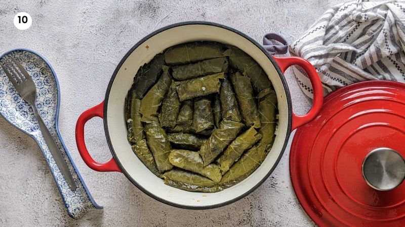 Dolmadakia in the pot when they are cooked.