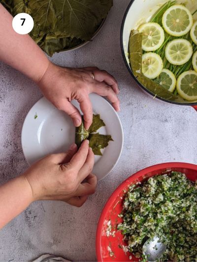 Rolling the grape leaf to make a little cylinder.