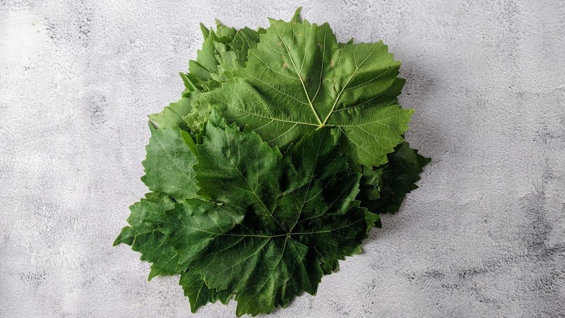 Fresh Grape Leaves.