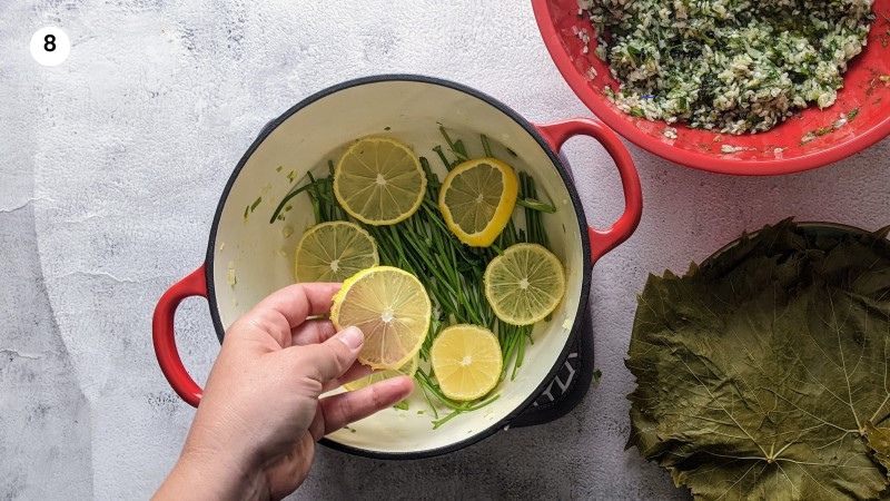 Adding the herb stalks and lemon slices to the bottom of the pot Adding the herb stalks and lemon slices to the bottom of the pot.