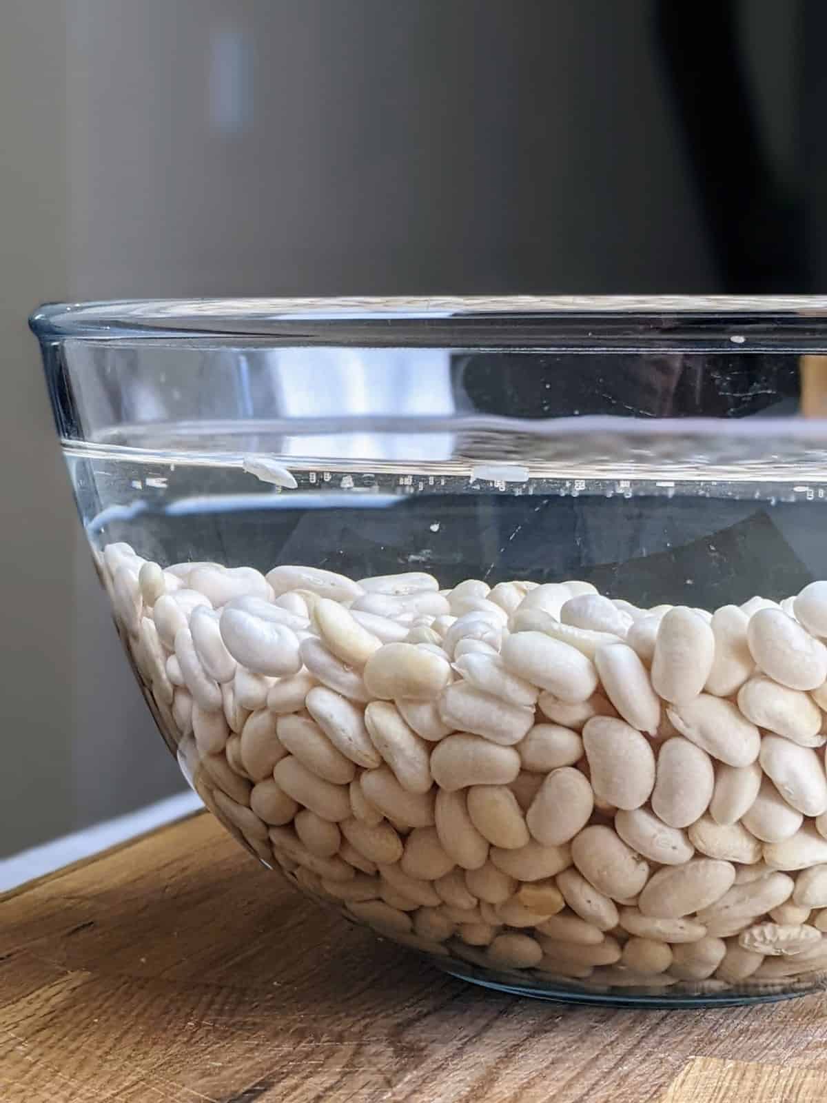 Soaked white beans overnight in bowl of water.