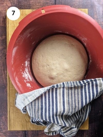 Dough after rest and double in size