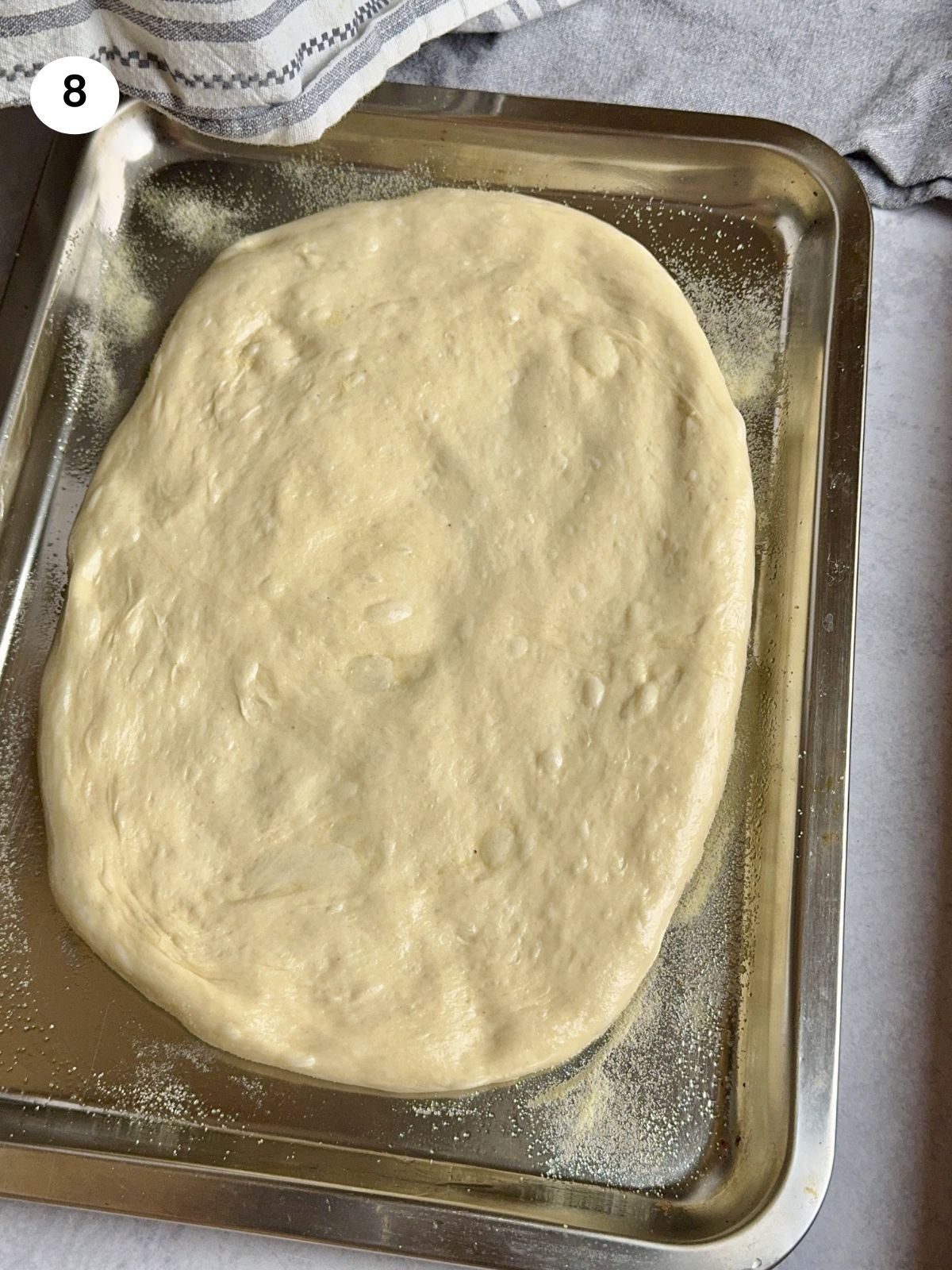 Lagana on a tray ready for the second rise.