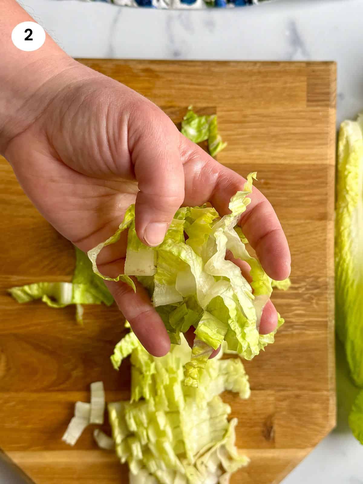 Chopped lettuce leaves.