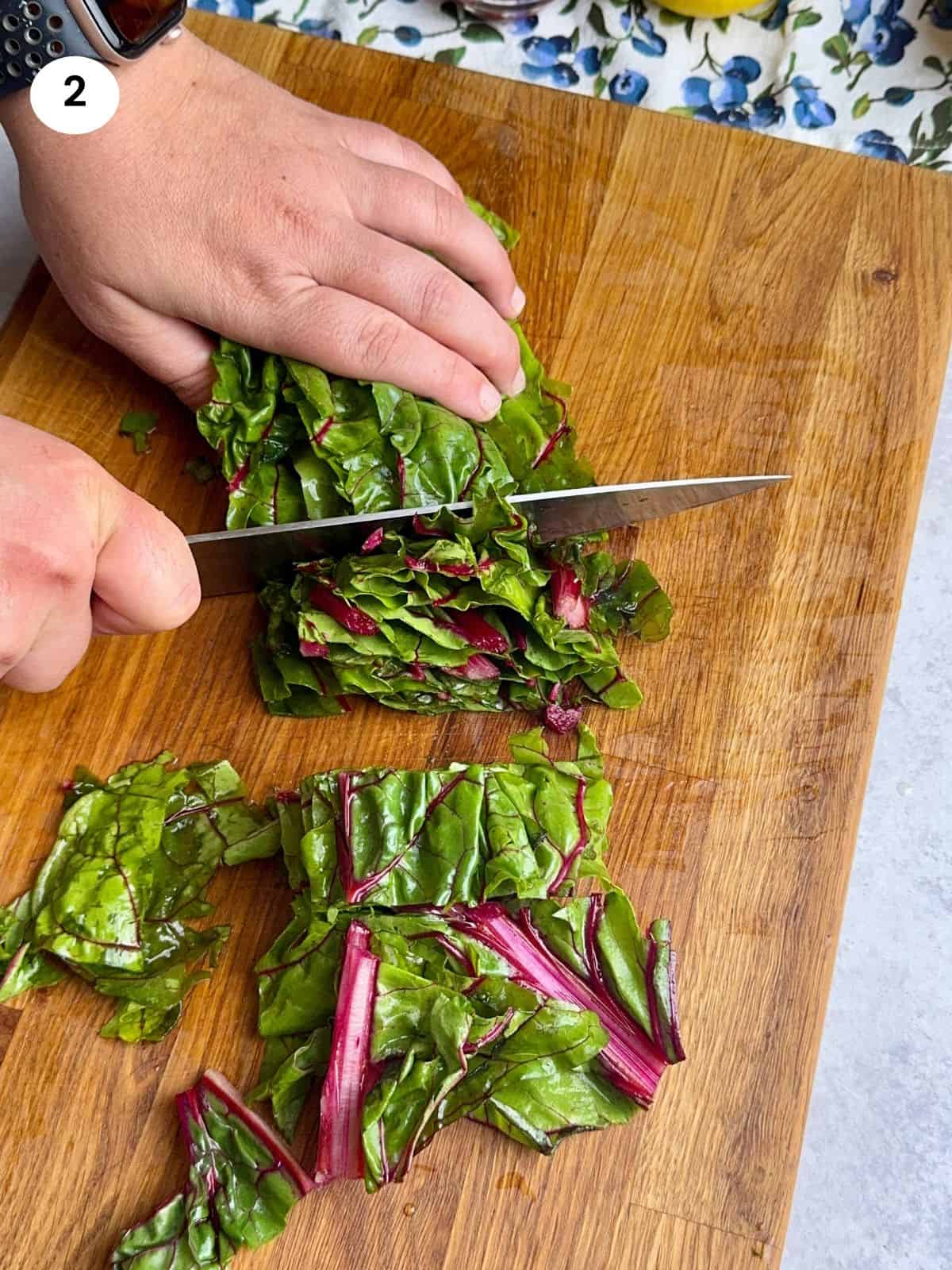 Cutting the swiss chard leaves into chunks.